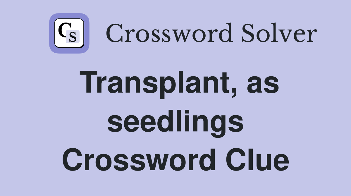 Transplant, as seedlings Crossword Clue