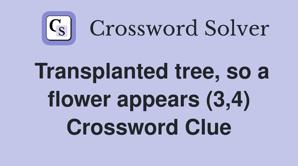 Transplanted tree, so a flower appears (3,4) Crossword Clue