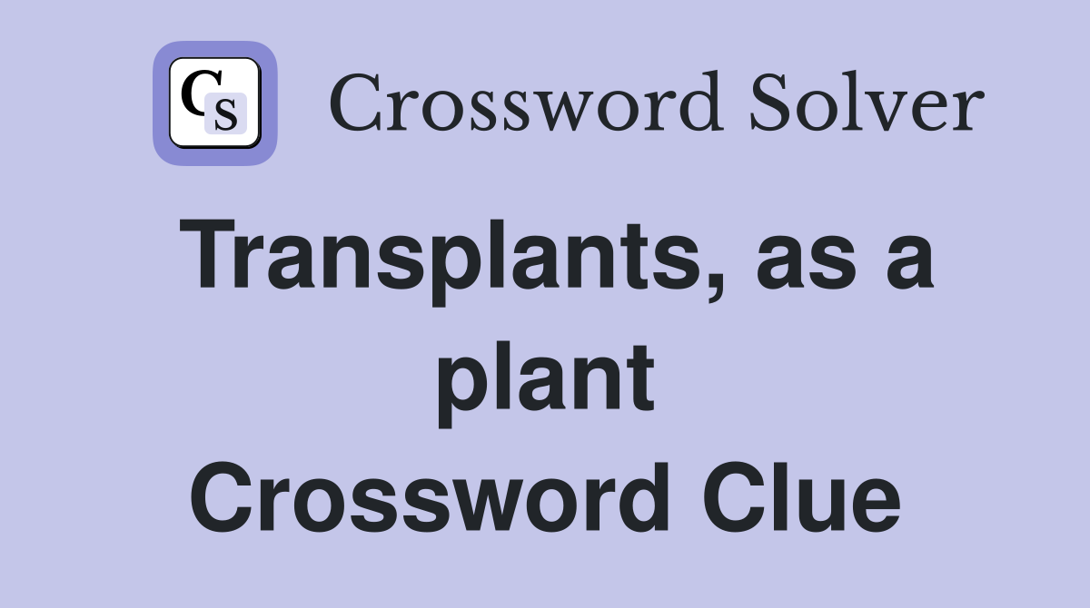 Transplants, as a plant Crossword Clue