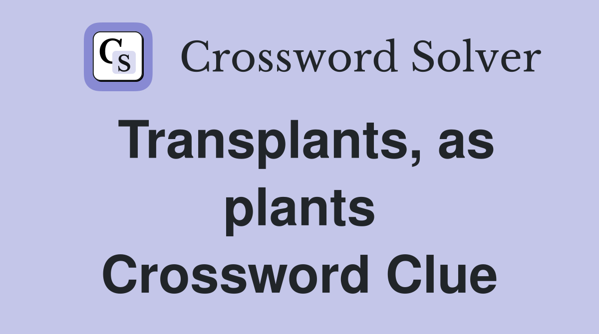 Transplants, as plants Crossword Clue