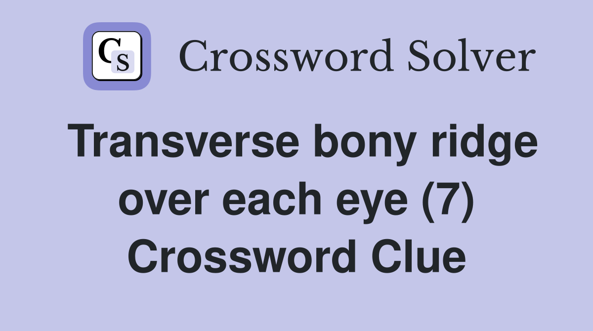 Transverse bony ridge over each eye (7) Crossword Clue