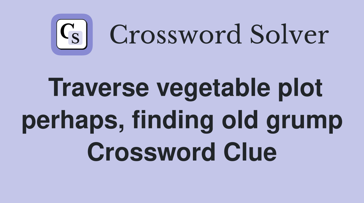 Traverse vegetable plot perhaps, finding old grump Crossword Clue