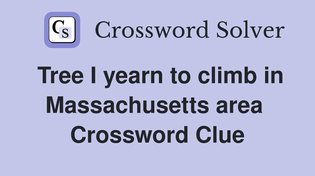 Tree I yearn to climb in Massachusetts area  Crossword Clue