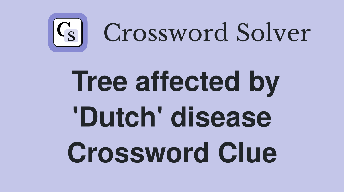 Tree affected by 'Dutch' disease Crossword Clue
