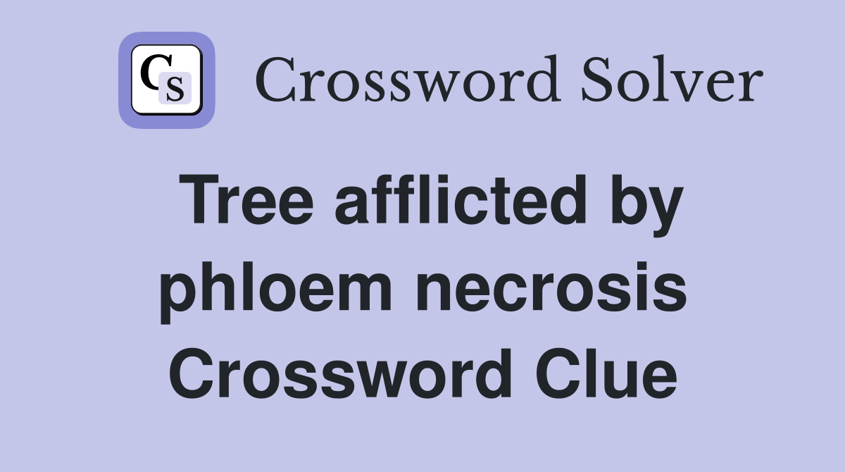 Tree afflicted by phloem necrosis Crossword Clue
