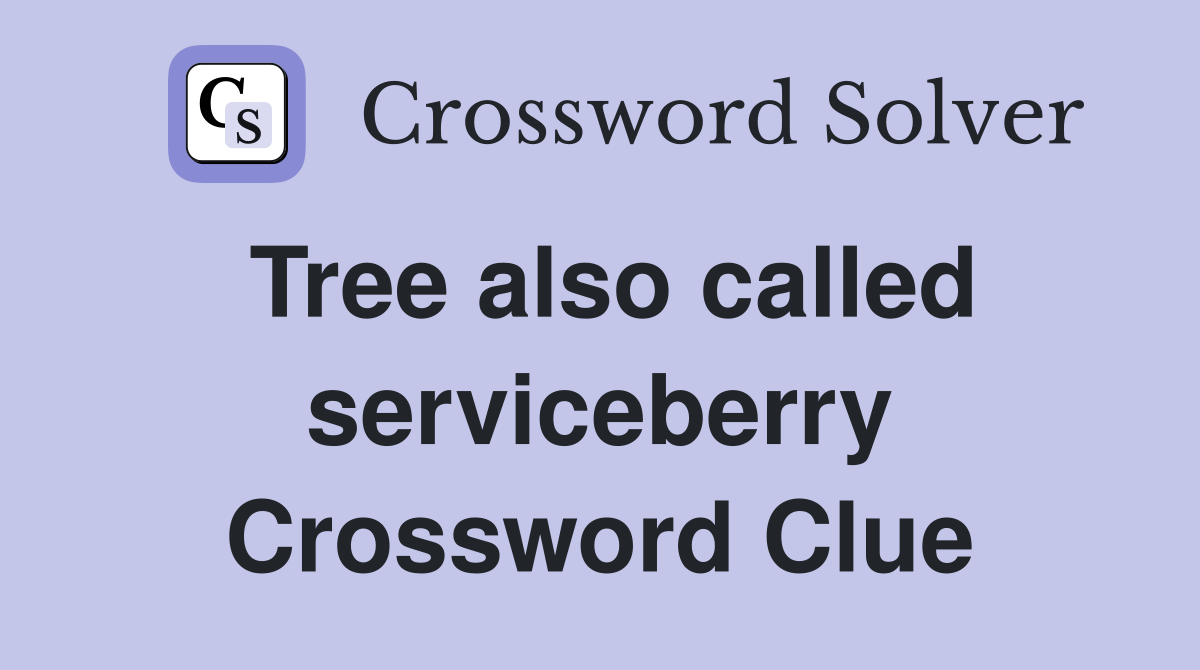 Tree also called serviceberry Crossword Clue