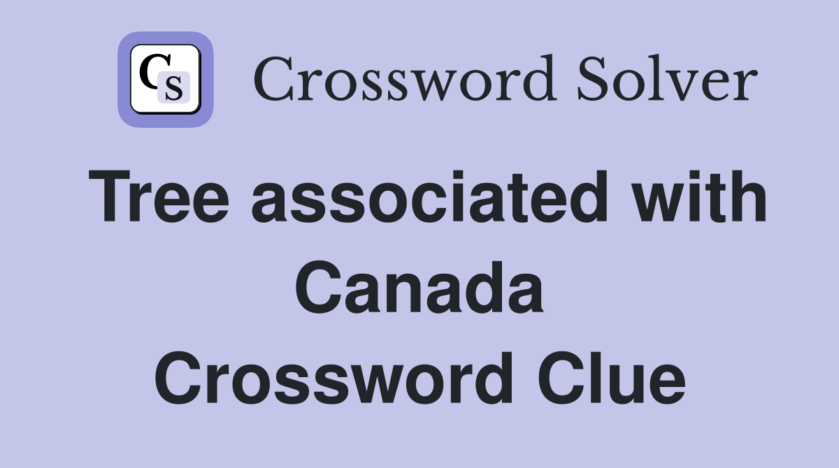 Tree associated with Canada Crossword Clue