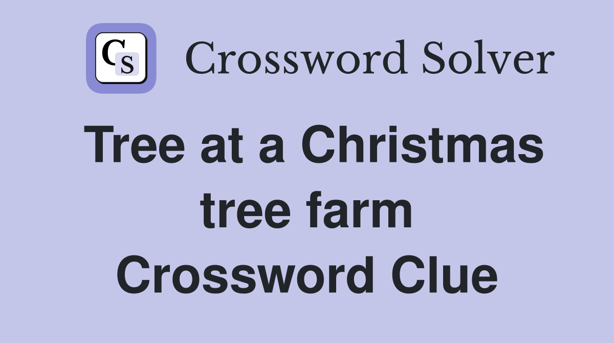 Tree at a Christmas tree farm Crossword Clue