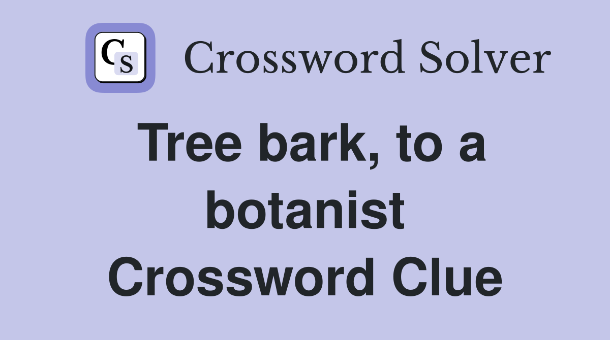 Tree bark, to a botanist Crossword Clue