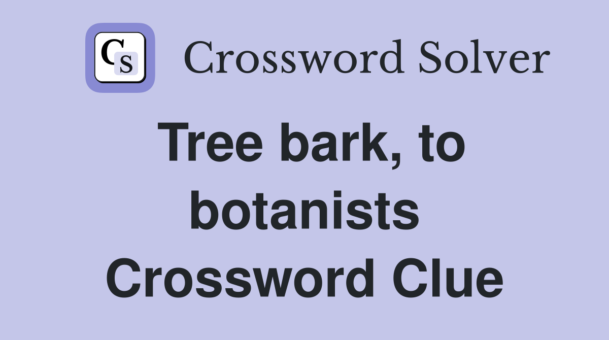 Tree bark, to botanists Crossword Clue