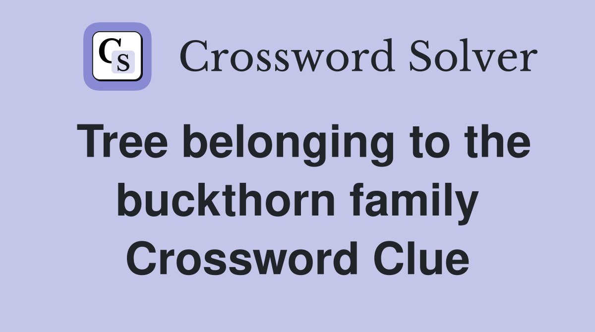 Tree belonging to the buckthorn family Crossword Clue