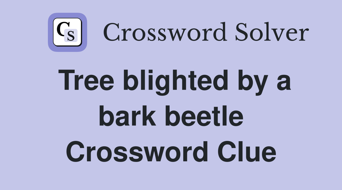 Tree blighted by a bark beetle Crossword Clue