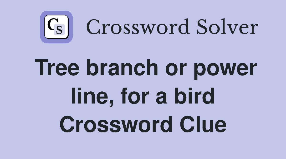 Tree branch or power line, for a bird Crossword Clue