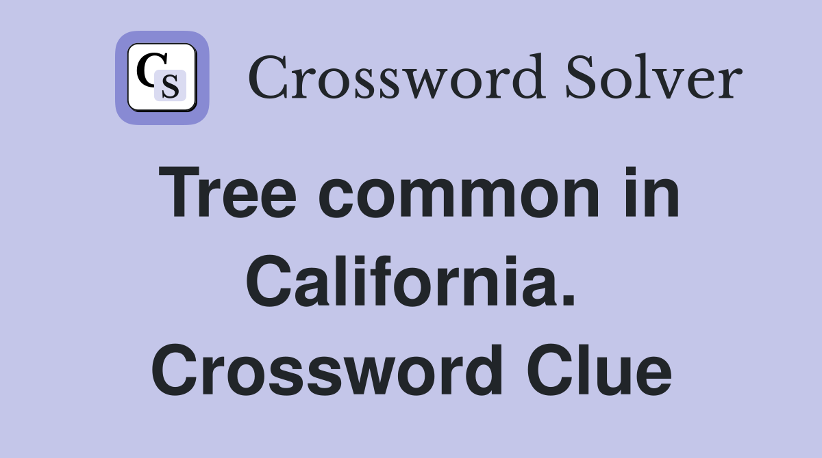 Tree common in California. Crossword Clue