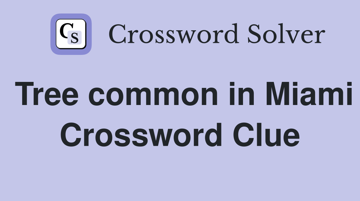 Tree common in Miami Crossword Clue