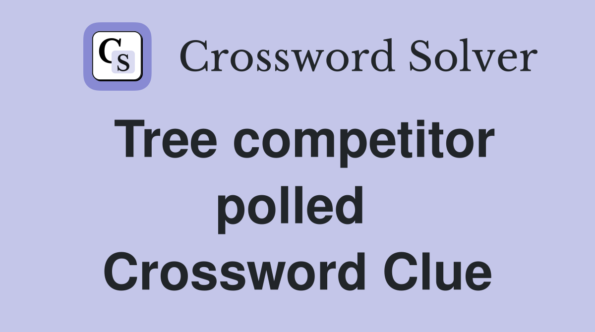 Tree competitor polled  Crossword Clue