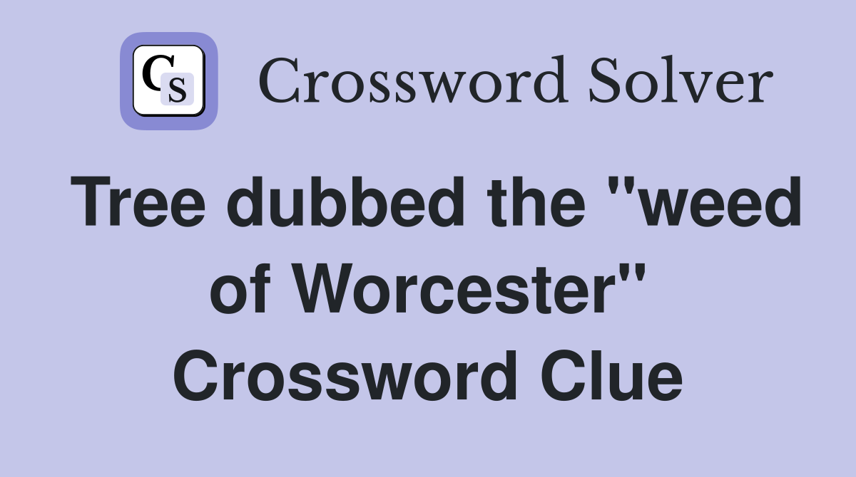 Tree dubbed the "weed of Worcester" Crossword Clue