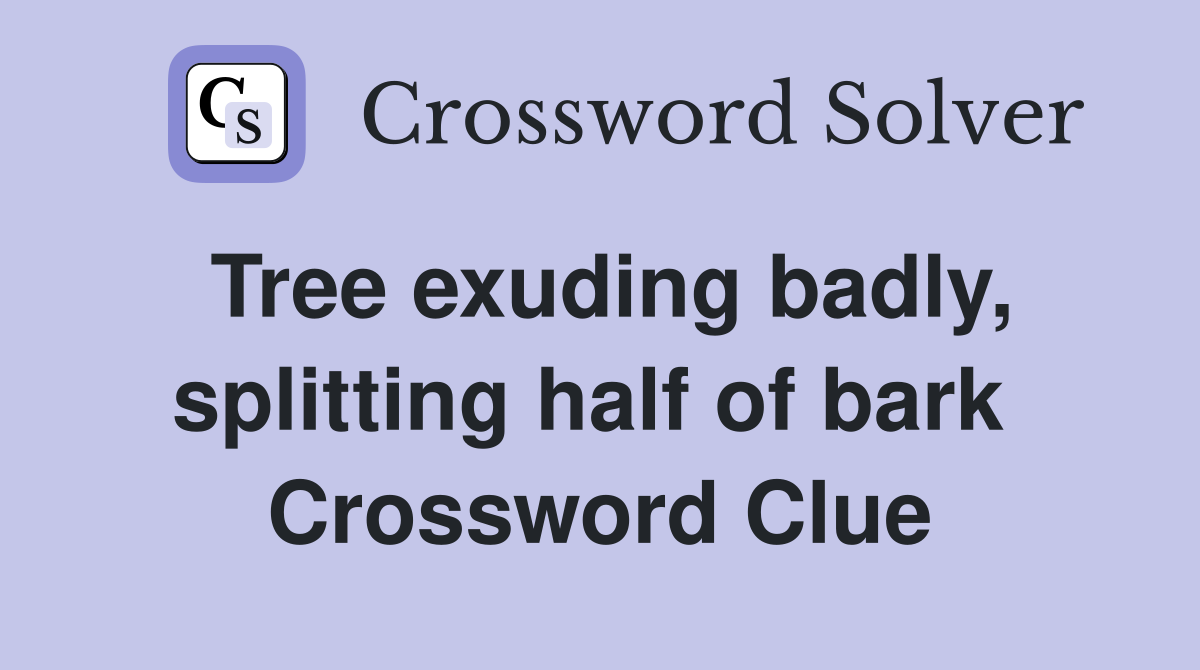 Tree exuding badly, splitting half of bark  Crossword Clue