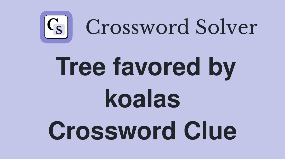 Tree favored by koalas Crossword Clue