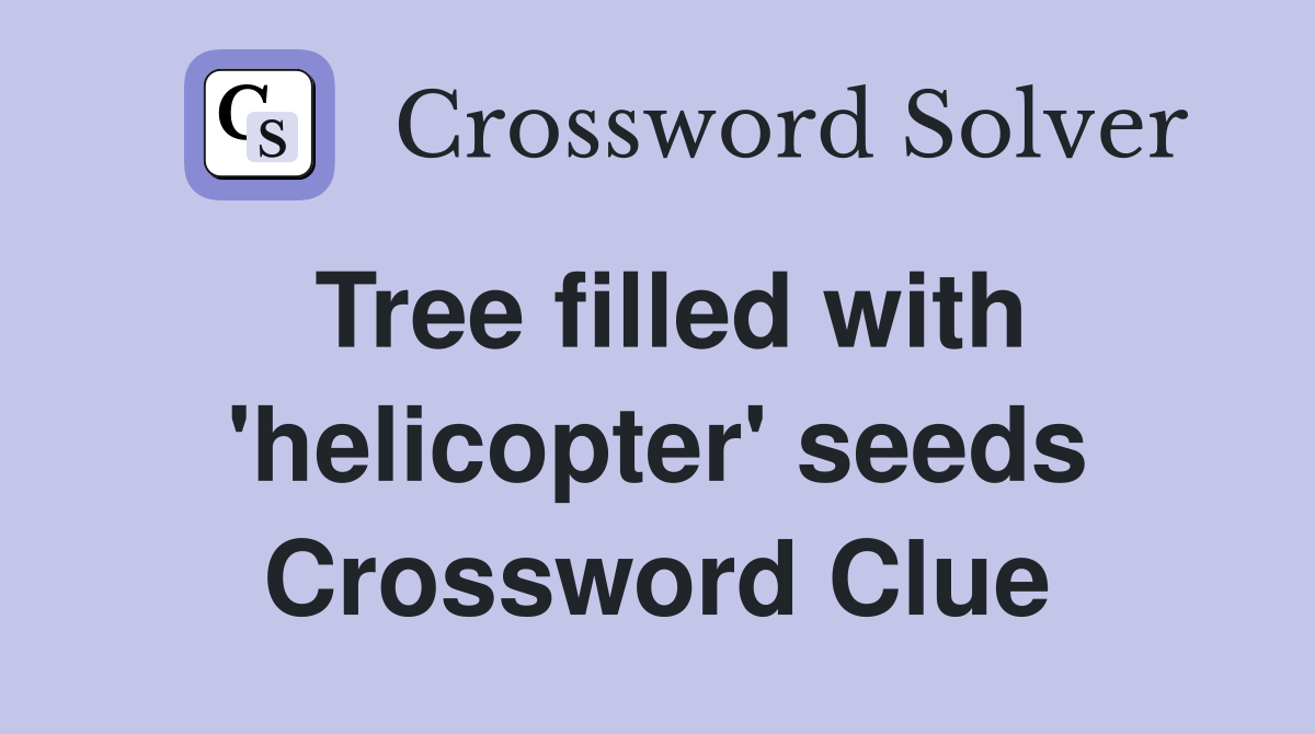 Tree filled with 'helicopter' seeds Crossword Clue