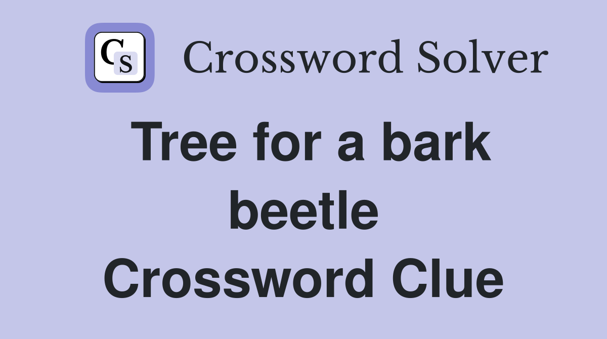 Tree for a bark beetle Crossword Clue