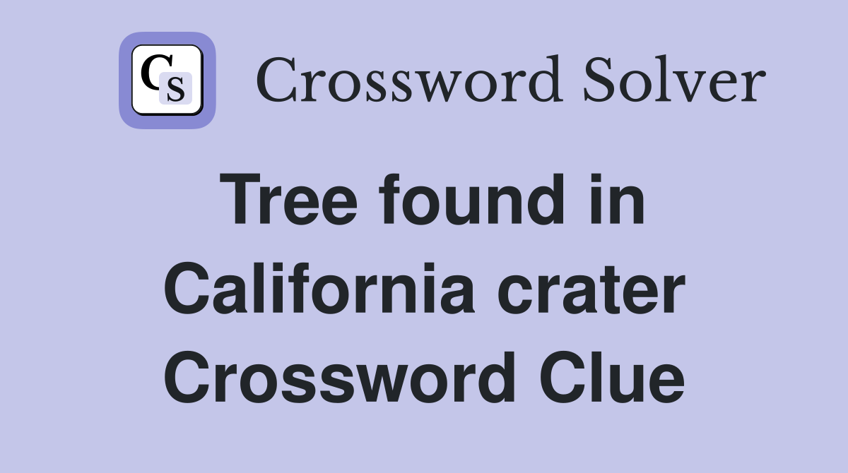 Tree found in California crater Crossword Clue