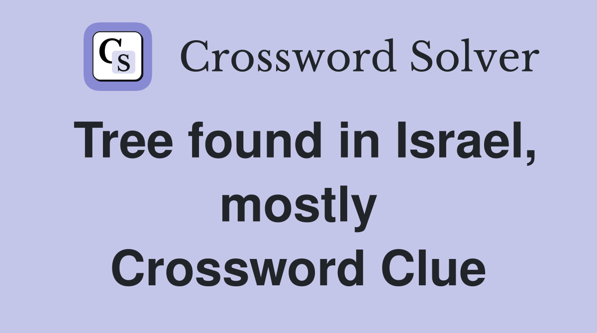 Tree found in Israel, mostly Crossword Clue