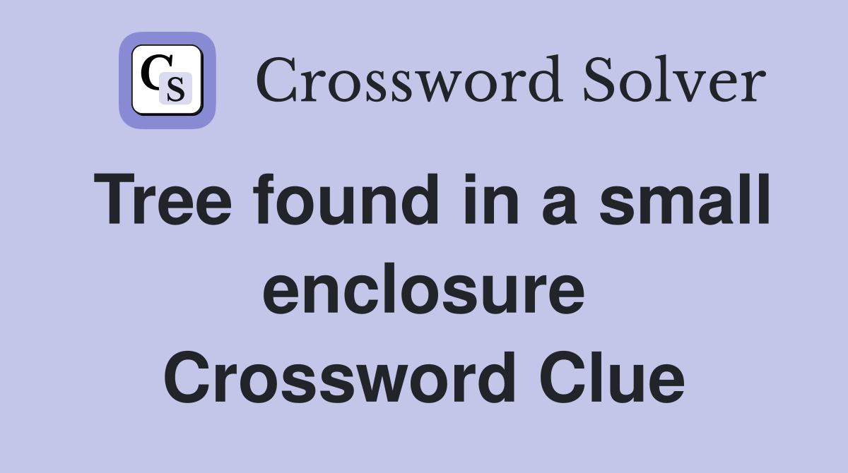 Tree found in a small enclosure Crossword Clue