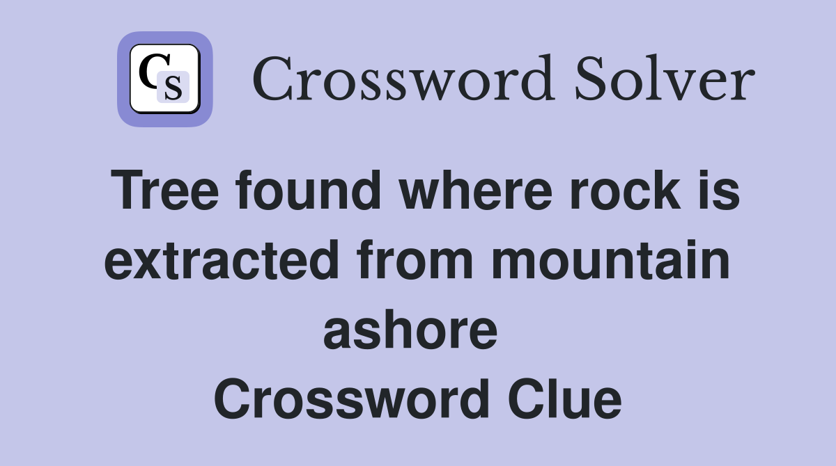 Tree found where rock is extracted from mountain ashore  Crossword Clue
