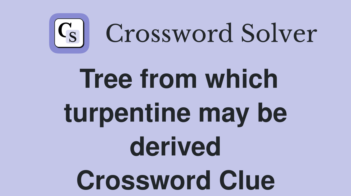 Tree from which turpentine may be derived Crossword Clue