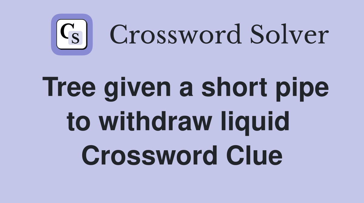 Tree given a short pipe to withdraw liquid  Crossword Clue