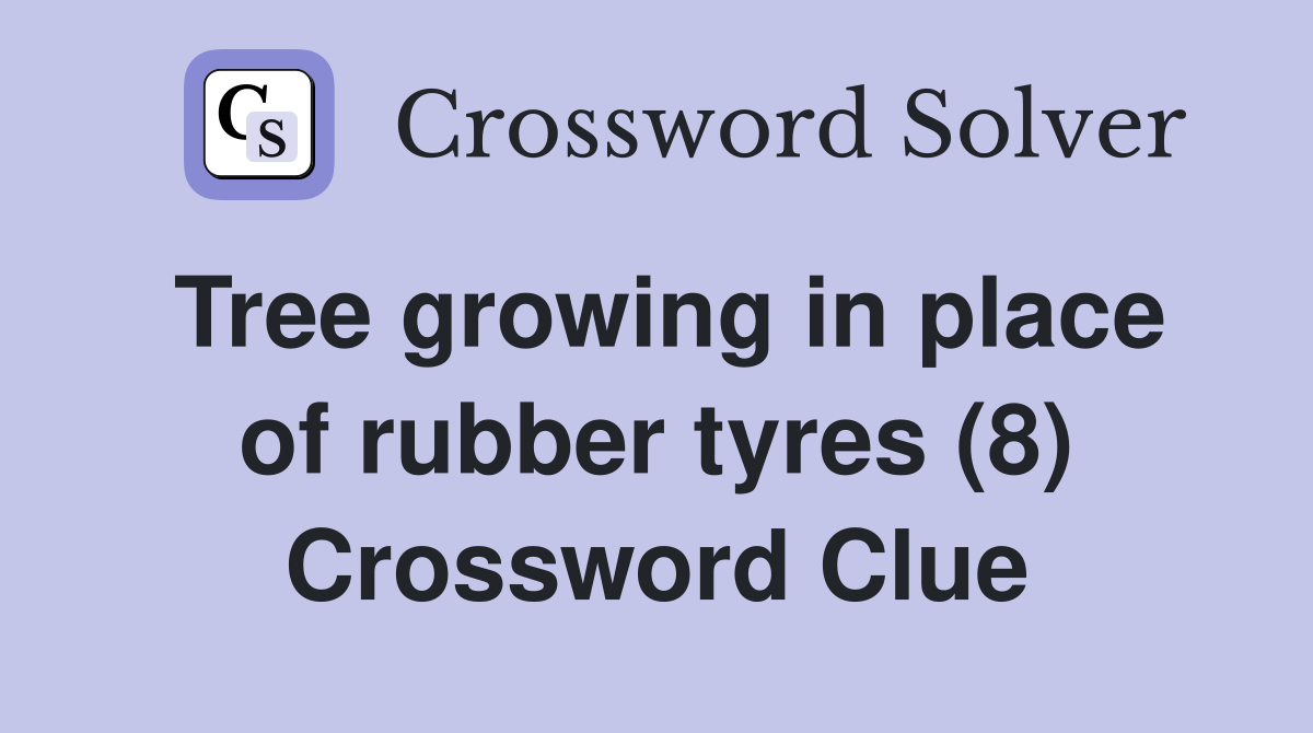 Tree growing in place of rubber tyres (8) Crossword Clue
