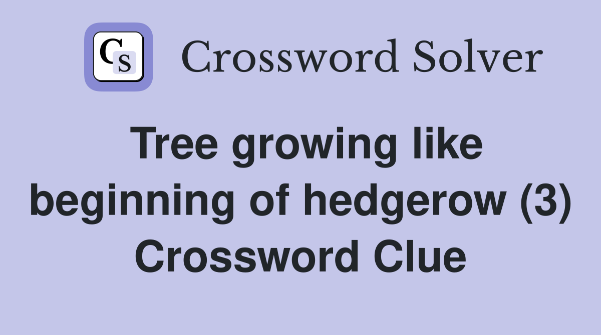 Tree growing like beginning of hedgerow (3) Crossword Clue