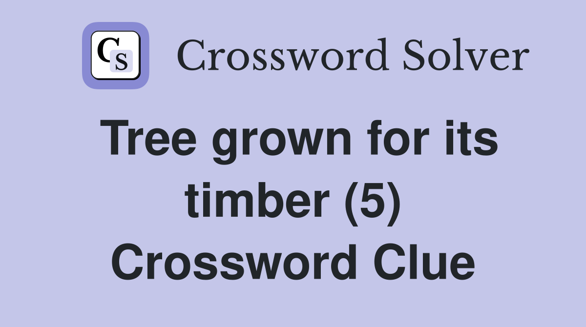 Tree grown for its timber (5) Crossword Clue