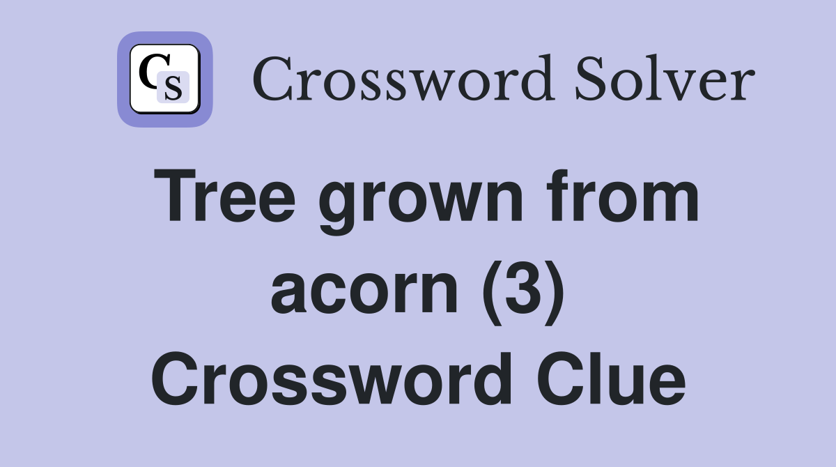 Tree grown from acorn (3) Crossword Clue