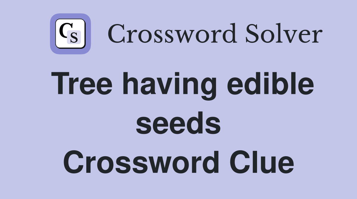 Tree having edible seeds Crossword Clue