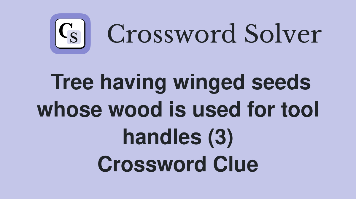 Tree having winged seeds whose wood is used for tool handles (3) Crossword Clue