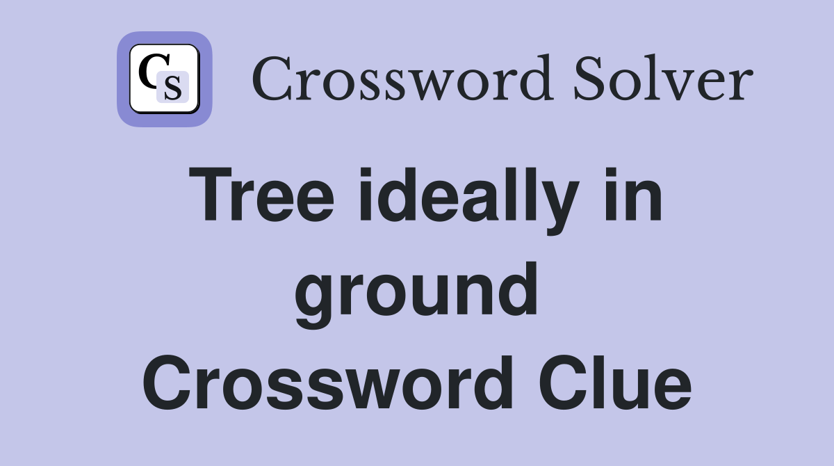 Tree ideally in ground Crossword Clue