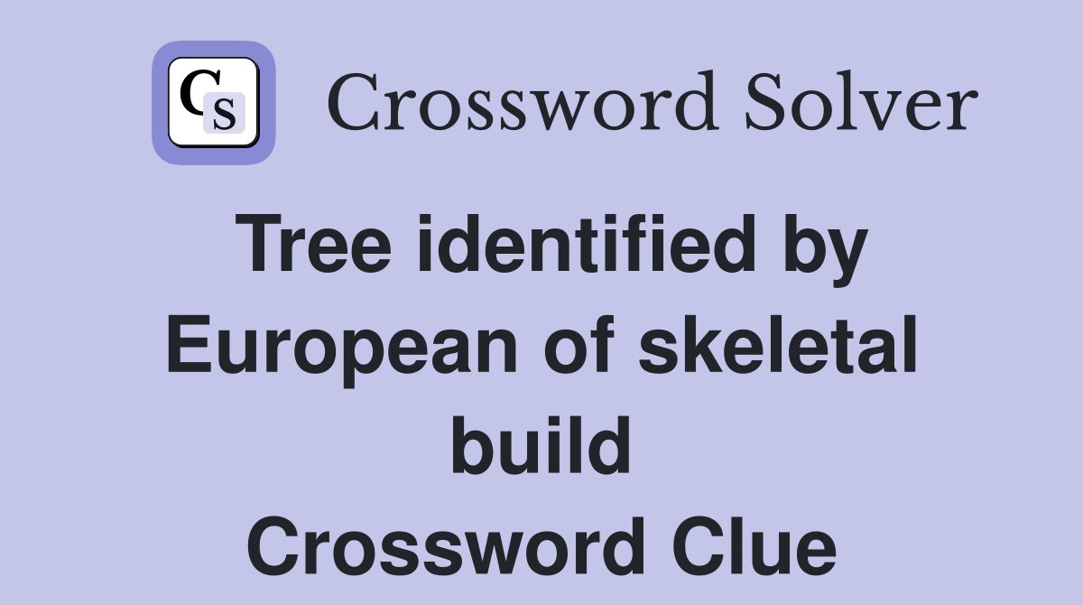 Tree identified by European of skeletal build Crossword Clue