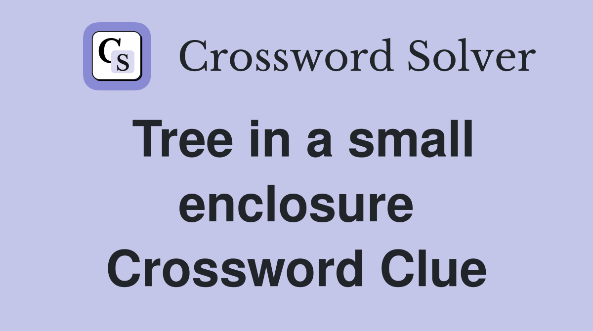 Tree in a small enclosure Crossword Clue
