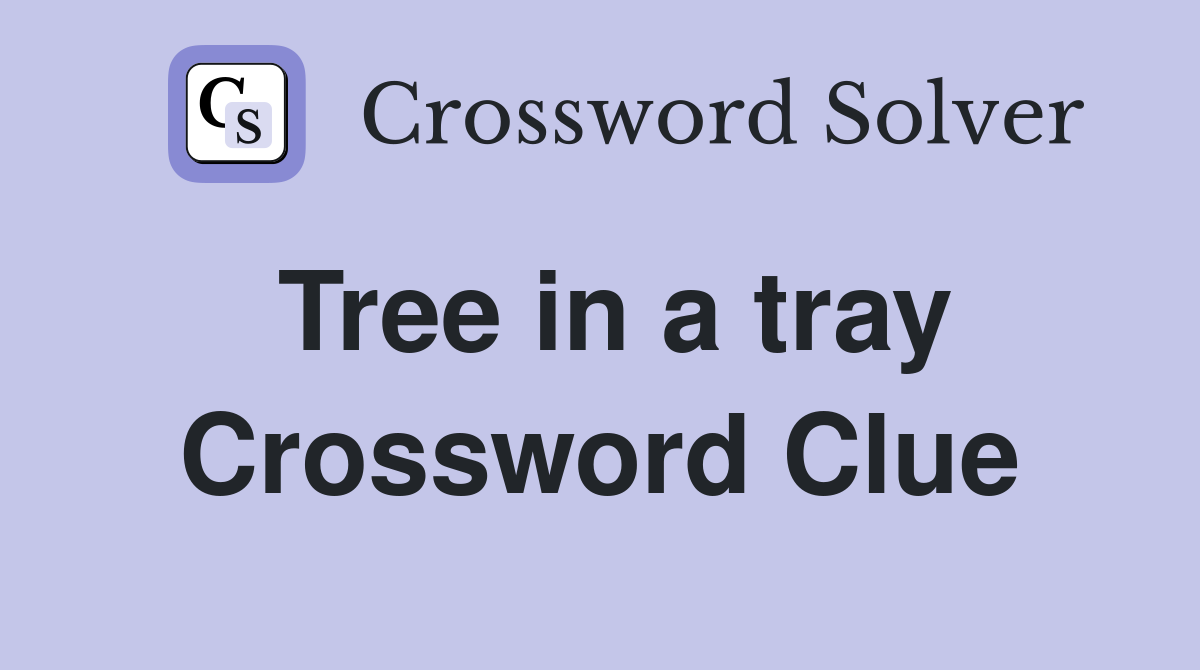 Tree in a tray Crossword Clue