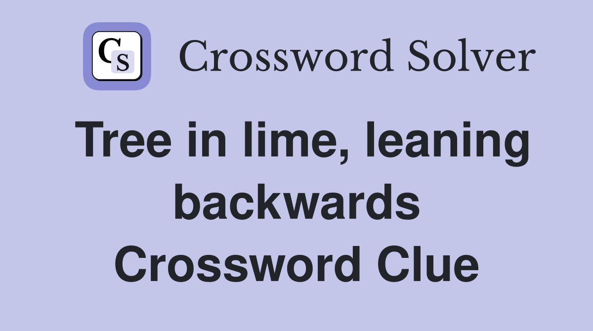 Tree in lime, leaning backwards Crossword Clue