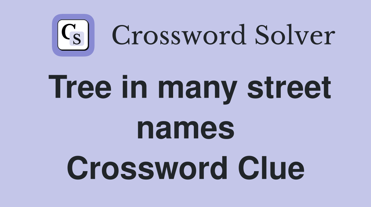 Tree in many street names Crossword Clue