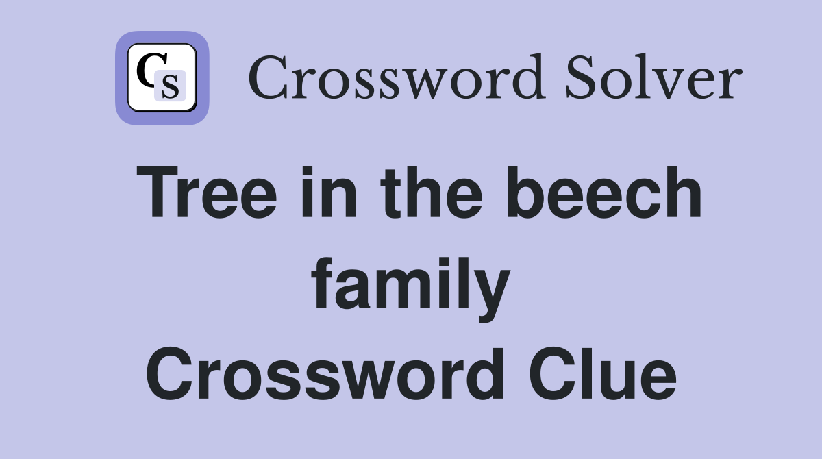 Tree in the beech family Crossword Clue