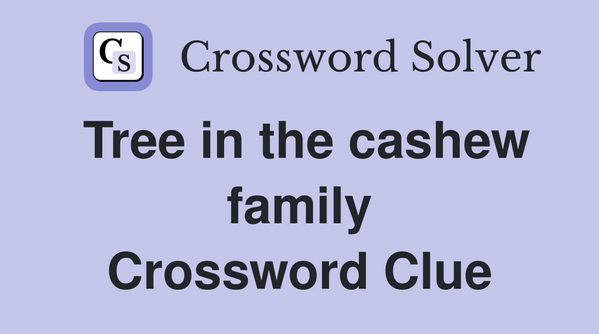 Tree in the cashew family Crossword Clue