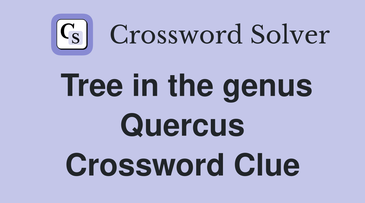 Tree in the genus Quercus Crossword Clue