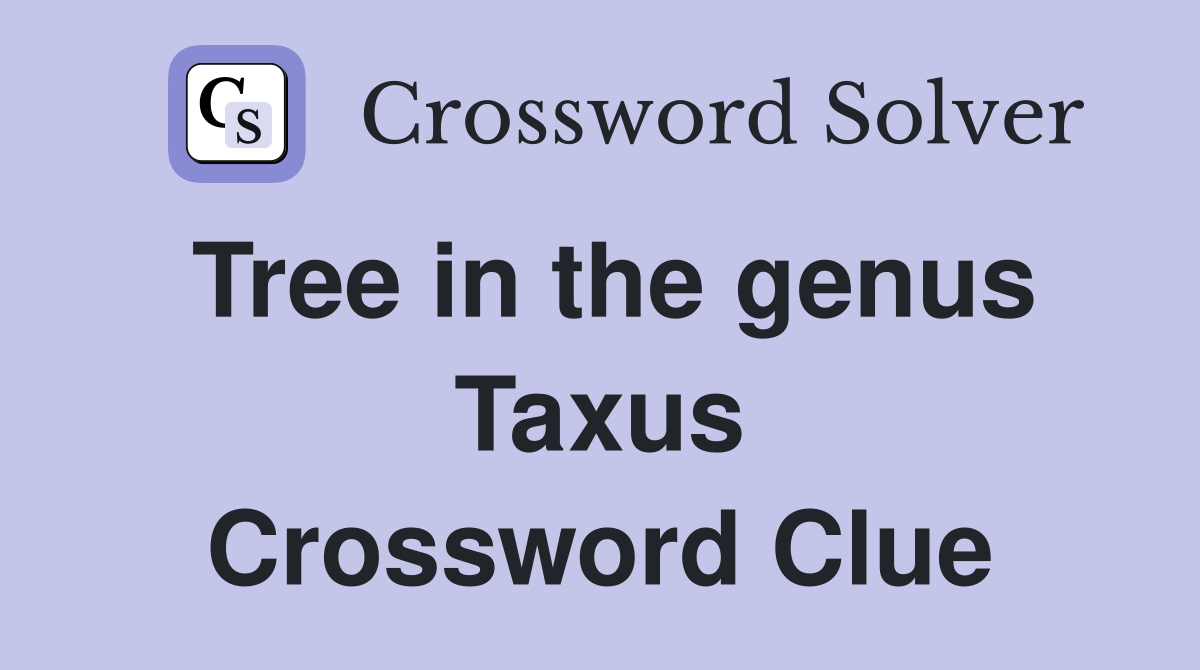 Tree in the genus Taxus Crossword Clue