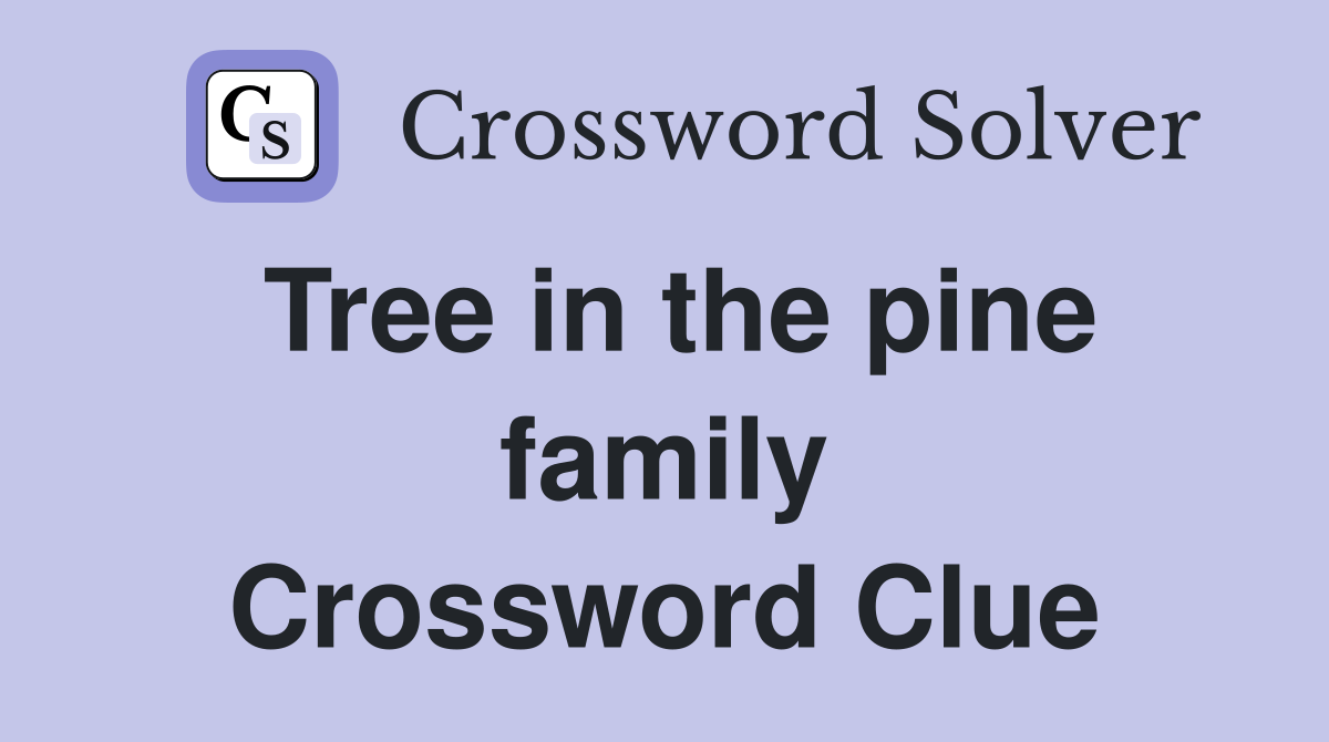 Tree in the pine family Crossword Clue