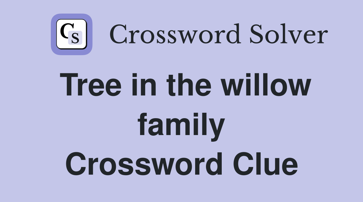 Tree in the willow family Crossword Clue