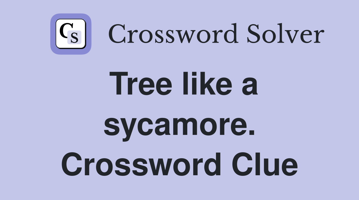 Tree like a sycamore. Crossword Clue